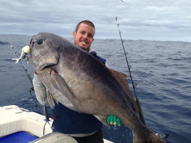 deep drop gold Fishing Fishwrecked Fishing WA. Fishing